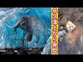 [[衝撃]]　氷漬けで発見された絶滅した動物たち