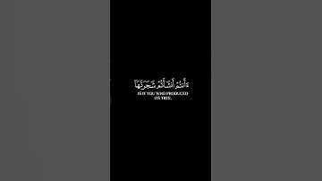أفرأيتم النار التي تورون || #ياسر_الدوسري سورة الواقعة