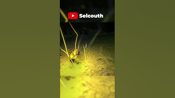 AN OPEN WORLD DEMON SLAYER GAME! [Demon Slayer Fan Game]