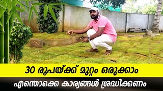 30 രൂപയ്ക്ക് LANDSCAPING | GARDEN & LAWN MAKING | CARPET, MEXICAN, KOREAN GRASS FIXING MALAYALAM