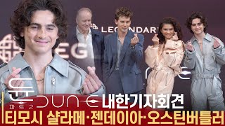 한국에 온 티모시 샬라메❤️젠데이아❤️오스틴버틀러 | '듄 part2' 내한 기자 회견 포토타임