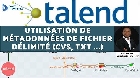 43-Tuto TALEND : Comment utiliser les métadonnées de fichiers délimités (CSV , TXT , ...) ?