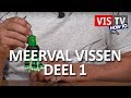 VIS TV How to - Meerval deel 1