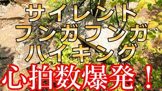 勾配がキツイ山は低山でも死ねる！【宮崎県・二つ岳 高千穂ハイカー編】