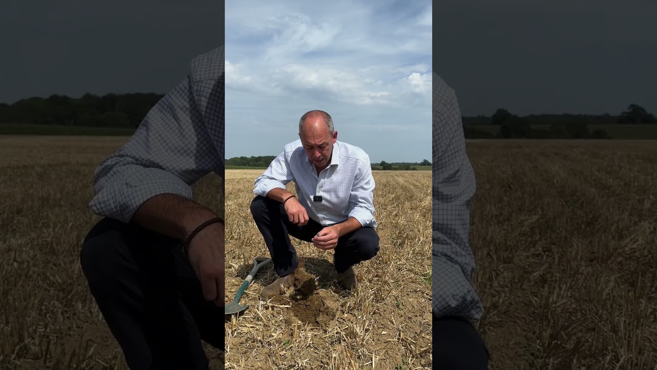 AF Chief Agricultural Officer John Barrett is optimistic about OSR returns this year! 