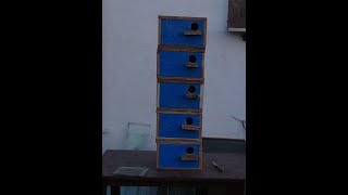 видео: Гнездовые домики для попугаев. картинка: Гнездовые домики для попугаев.