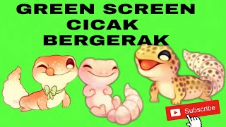 GREEN SCREEN CICAK MENARI  || Mentahan cicak menari untuk membuat vidio (NO Copyright)