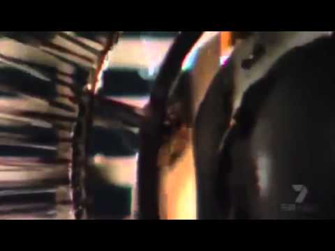 (YTP)
