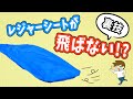レジャーシートが風で飛ばされない秘密◎ #Shorts