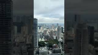 TOKYO JAPAN SKY VIEW - 4K View #shorts