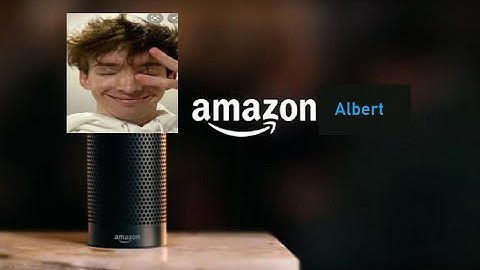 Introducing Amazon Albert/Flamingo
