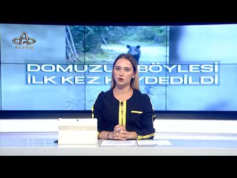 ALTAŞ TV ANA HABER 26.07.2018