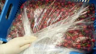 Alkyon Fruit S.A. - Sorting and Packing Cherries - 06/06/2017