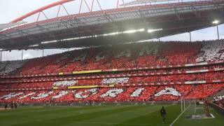 Benfica Tetracampeão Hino Estádio da Luz