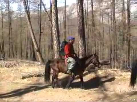 Video: Kdyby Jen MAZ Letěl Rovně : Do Mongolska Vtrhly Rallye