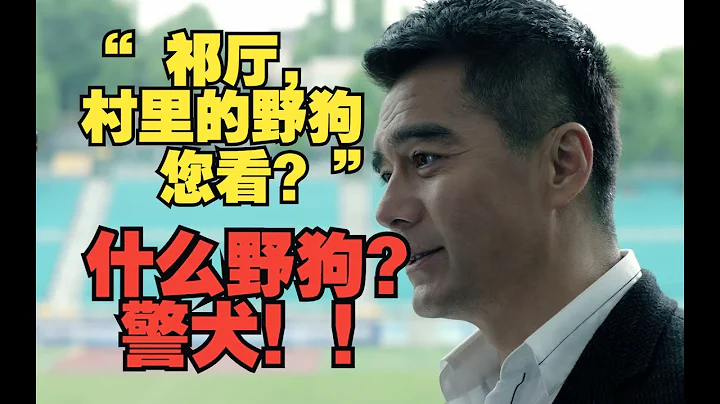 P8「什麼野狗，警犬！」深度解析《人民的名義》，分析人物、彩蛋、性格特點 - 天天要聞