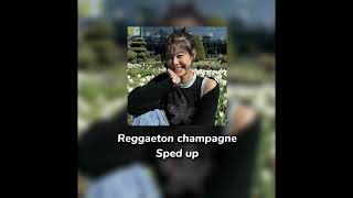 Dani Flow X BellaKath-Reggaeton Champagne (speed up)