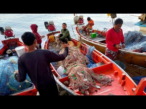 Morning market on Jomtien beach, Pattaya, seafoodประมงพื้นบ้านพัทยาหาดจอมเทียนอาหารทะเลสดใหม่ทุกเช้า
