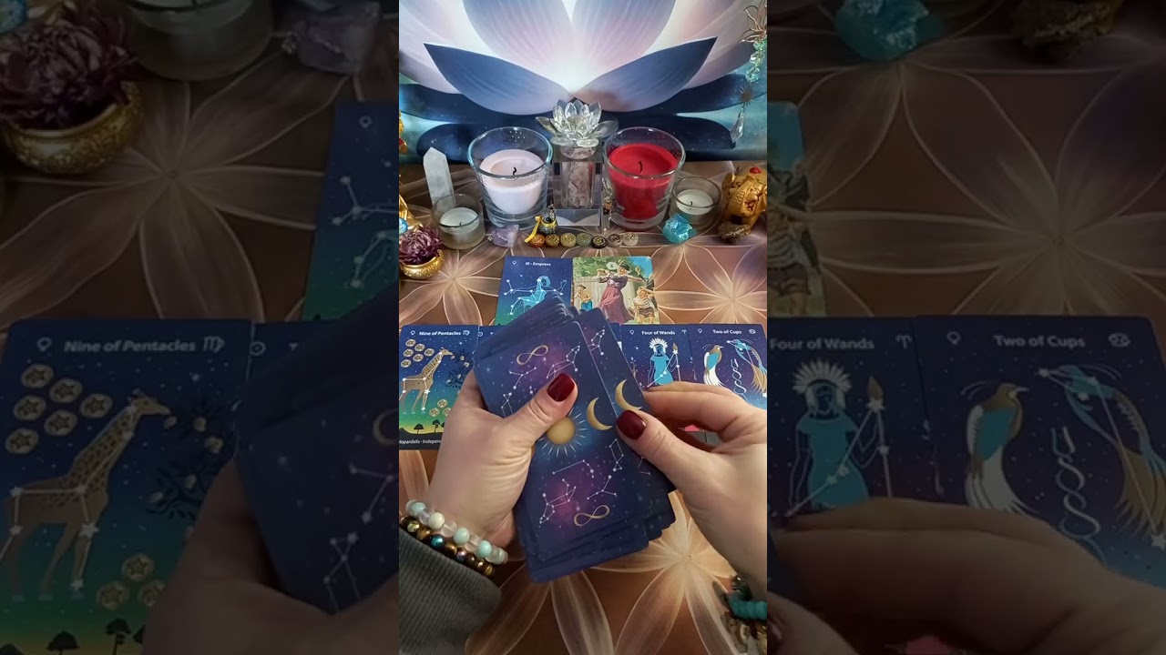 CARICATA KE TREBA DA SE ODREDI PO TEST PRELIMINAREN PO POVOD NEJZINA IDNINA VO IZOBILSTVO/Kolektivno