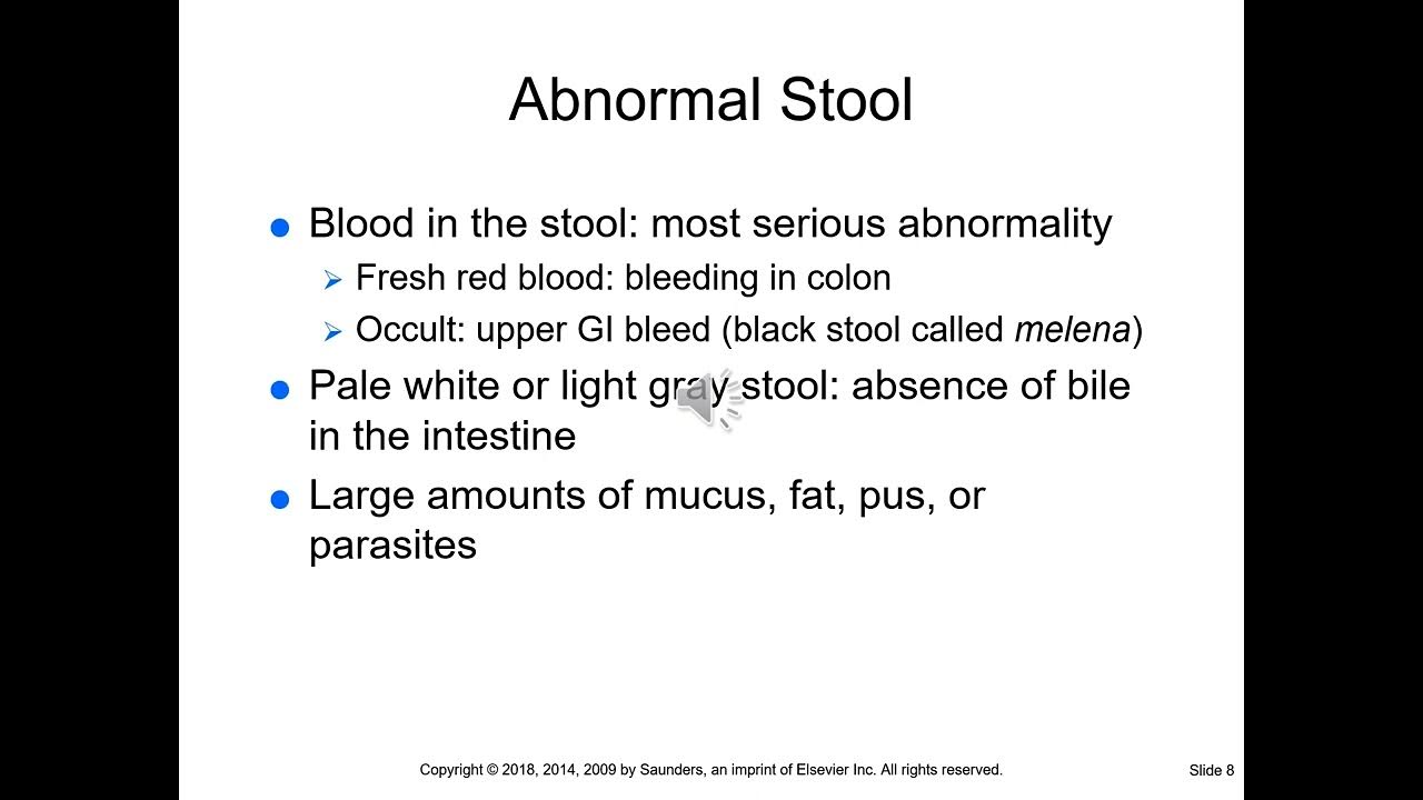 Promoting Bowel Elimination Quizlet