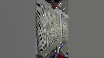 blueberry sorting machine, blueberry grading machine