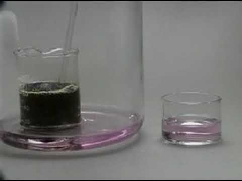 H2SO4 đặc than hóa đường saccarozơ - youtube
