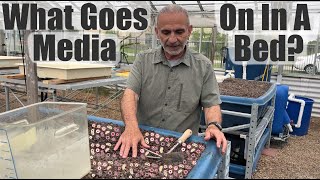 What Goes on in a Media Bed? The Science of Aquaponics