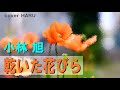 「乾いた花びら」小林 旭 cover HARU