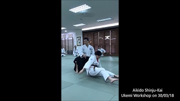 Aikido ukemi workshop 2018