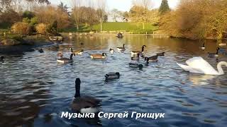 🌿Музыка  Для  Души🌿 Осенняя Свежесть🌿 Музыка Сергей Грищук