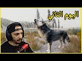 حياة الذيب 2 السيطرة على المناطق Wolf Quest 