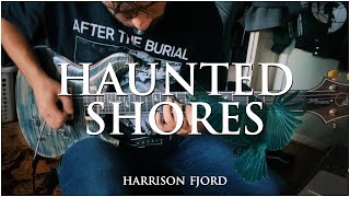 Harrison Fjord - Haunted Shores (Guitar Cover) - PRS Custom 24 30th