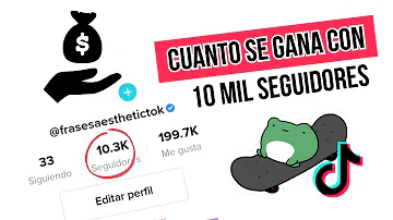 ¿Cuánto dinero te dan por 10.000 seguidores en TikTok?