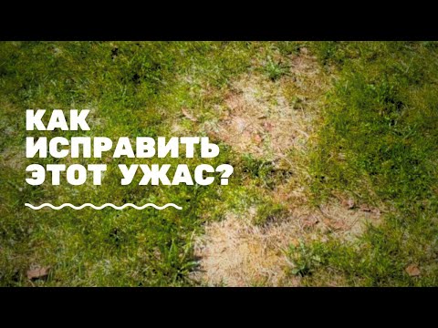 Видео: Зачем ты покрываешь газон соломой?