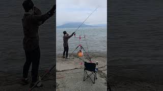 2025년 7월 2일#농어잡는사람들#강화교동도 #낚시대 #fishing #carpfishing #fish #carp #낚시 #