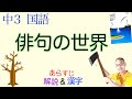 【2022年度新教科書版】俳句の世界【中３国語】教科書〈俳句の解説〉【夏井いつきの体験】〈斧入れて・与謝蕪村〉〈桐一葉・高浜虚子〉〈秋つばめ・黒田杏子〉