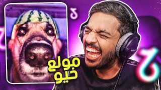 مقاطع تيك توك تضحك 😂 | كلب البطيخ