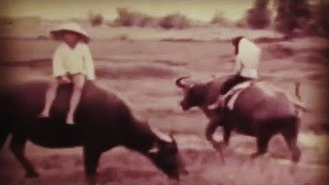 Tía Em Má Em - Duy Khánh & Thanh Huyền