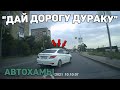 Автоподборка &quot;Дай Дорогу Дураку&quot;🚓Автохамы#281