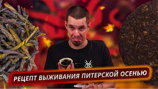 видео: Рецепт бодрости и здоровья: Шу + Кудин картинка: Рецепт бодрости и здоровья: Шу + Кудин