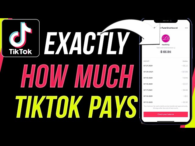 How Much TikTok Paid Me For 1,000,000 Views class=