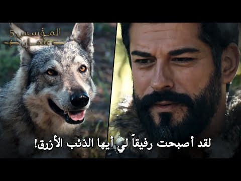 السيد عثمان يذهب إلى مقر قسطنطين ويقابل الذئب الأزرق مترجم بجودة رهيبة  المؤسس عثمان الحلقة 