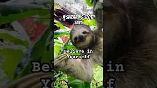 Motivation by swearing sloth🦥💥 #youtubeshorts #motivation #animals #goals #shorts #funny #dream
