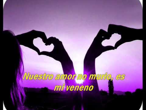 Cynthia y Jose Luis - Si no estas conmigo + Lyrics