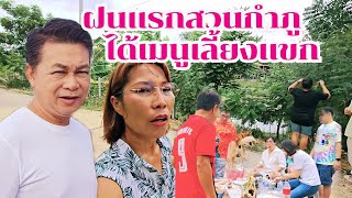 ฝนแรกสวนกำภู ผักสะดุ้งฝน ได้เมนูรับแขก #บ้านสวนกำภูEp1033