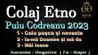 Pui Codreanu Colaj Etno //Karaoke - Negative //  ( Fa - Major )