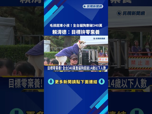 毛孩超車小孩！全台貓狗數破340萬 賴清德：目標拚零棄養－民視新聞