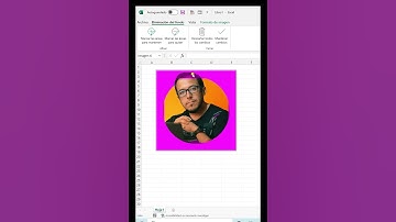 Cómo quitarle el fondo a una imagen en Excel.