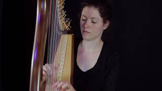 Comptine d'un autre été - L'après-midi (Yann Tiersen) on celtic harp