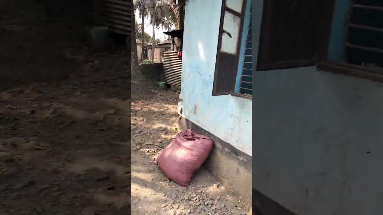 যোগাযোগ নাম্বার 01839815358